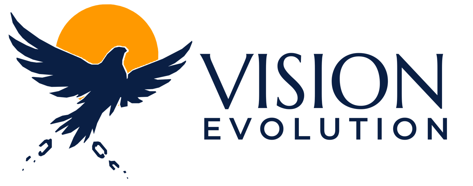 Vision Evolution
